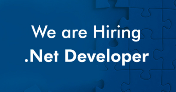 Senior .Net Developer